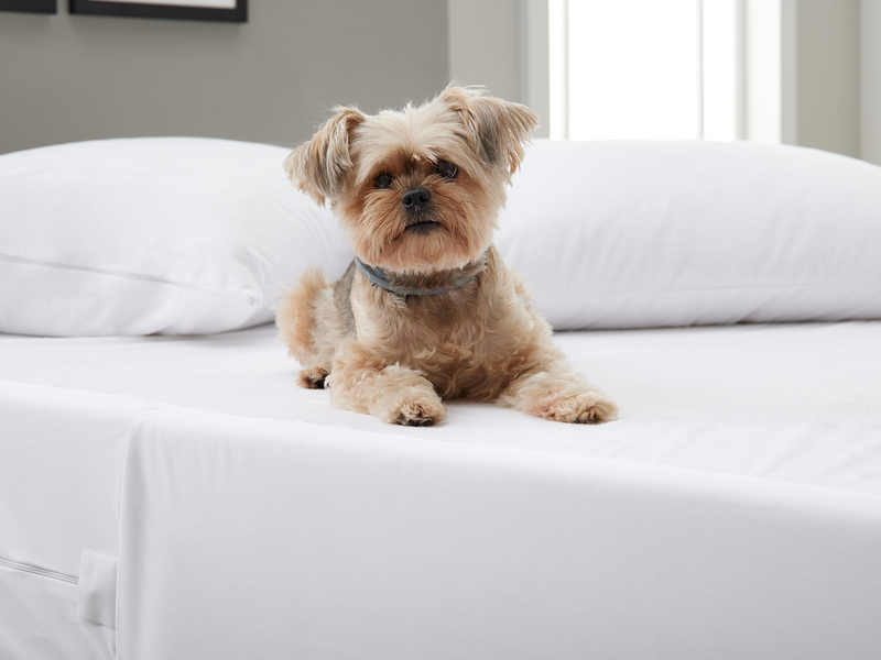 CH_Luxury_Mattress_Protector__EBC_2__Website